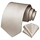 HISDERN Krawatten für Herren Beige Krawatte mit Einstecktuch Formelle Klassische Hochzeit Herrenkrawatte und Taschentuch Set für Männer