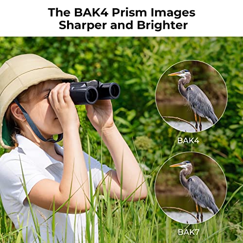 K&F Concept 10x25 Binocolo Professionale Compatto