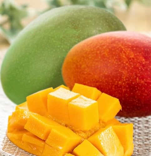 [先行予約][8月発送]アップルマンゴー1,5kg 化粧箱 &[9月発送]キーツマンゴー2kg 化粧箱