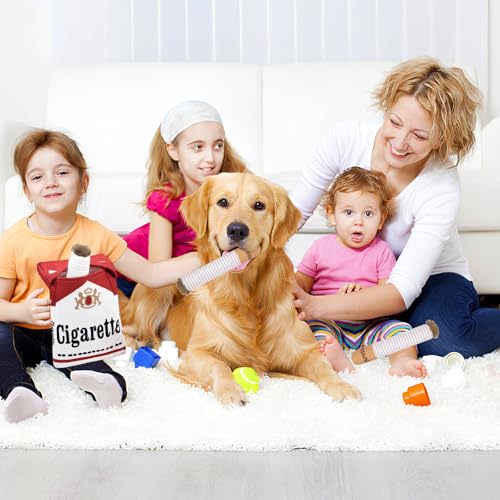 Riceel Interactive Dog Toy, Dog Toy Squeaky with a Box