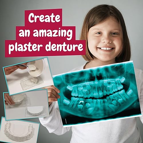 Science4you Dentist Kit for Kids - Dentist Toys for Kids + Doctors Kit with 10 Activities, Doctor Set with Dentist Games for Children, STEM Toys and Gifts for 5+ Year Old Boys and Girls - Image 5
