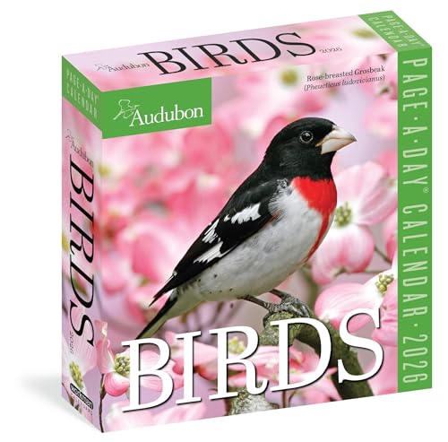 Audubon Birds Page-A-Day® Calendar 2026: The World's Favorite Bird Calendar