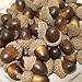 Onwon 100pcs Simulation Artificial Lifelike Small Acorn with Natural Acorn Cap for DIY Decoration Crafting Home House Kitchen Decor - Fake Fruit Props Acorns