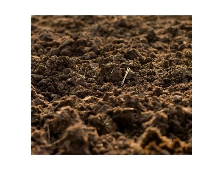 The Nursery - Cow Manure - Soils, mulches & Planting Media for Plants | Strong Plant Roots | Ideal for Home Gardening | Increase Natural Plant Growth - 1kg | Pack of 1