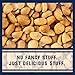 Kar’s Nuts Roasted & Salted Peanut Snacks, 3.5 oz Individual Snack Packs – Bulk Pack of 42, Gluten-Free Snack Mix