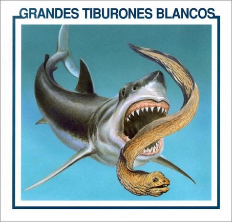 Grandes Tiburones Blancos = Great White Sharks [Spanish] 0865932026 Book Cover