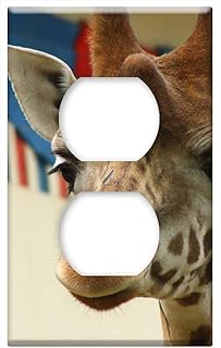 Switch Plate Outlet Cover - Giraffe Animal Zoo Antwerp Zoo Close Up