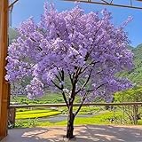 Árbol de Flor de Cerezo Árbol de los Deseos Compras Hechas a Mano Fiesta de Bodas Decoración Interior y Exterior Árbol de Flor de Cerezo Artificial(1.8M,A)