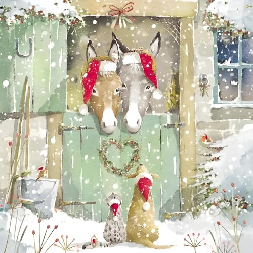 Paquete de 10 tarjetas de Navidad benéficas – BHF, Marie Curie, Age UK, NSPCC, Parkinson's UK y Alzheimer's Society – Diseño de granja de burros, perros y gatos – Fabricado en el Reino Unido