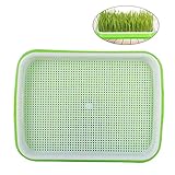 Lieferumfang: 1 Set Samen. PLAT FIRM GERMINATIONSAMEN: Seed KeimgerÃ¤t Soilless Tray Verbreiter Hausgarten Pflanze GemÃ¼se wachsen