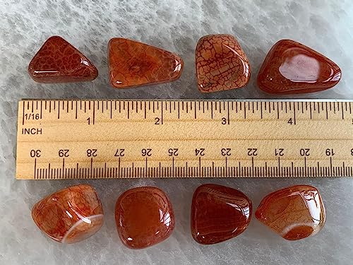 Image of GAF TREASURES 1 /2 LB Fire Agate Tumbled Stones, Polished Fire Agate Gemstone, Fire Agate Healing Crystals (Fire Agate)