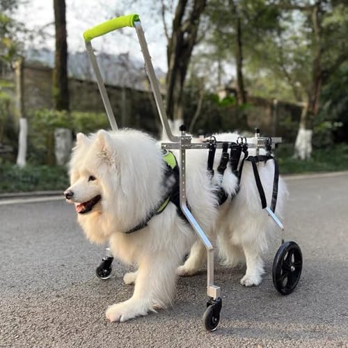 Fauteuil Roulant Chien Support Complet Pattes Avant Arrière Réglable XXXS à XXL