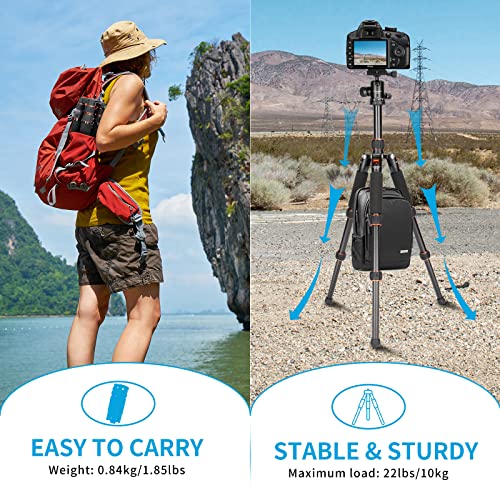 Koolehaoda Nouveau Design Travel Portable H-55 Mini trépied Compact Mini Macro Desktop Trépied avec Tête de Boule pour Appareil Photo Reflex numérique Canon Nikon (H-55) - Image 5