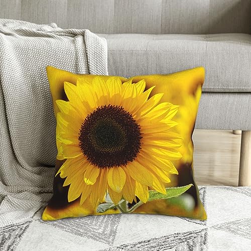 Housse de coussin velours côtelé 50x50 cm imprimé tournesol pour salon - 8
