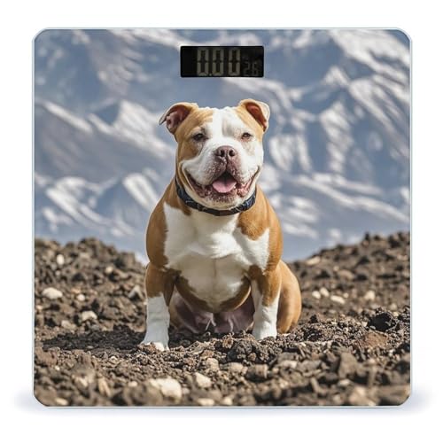 Báscula digital de baño Pitbull Dogs en vidrio templado miniatura 1