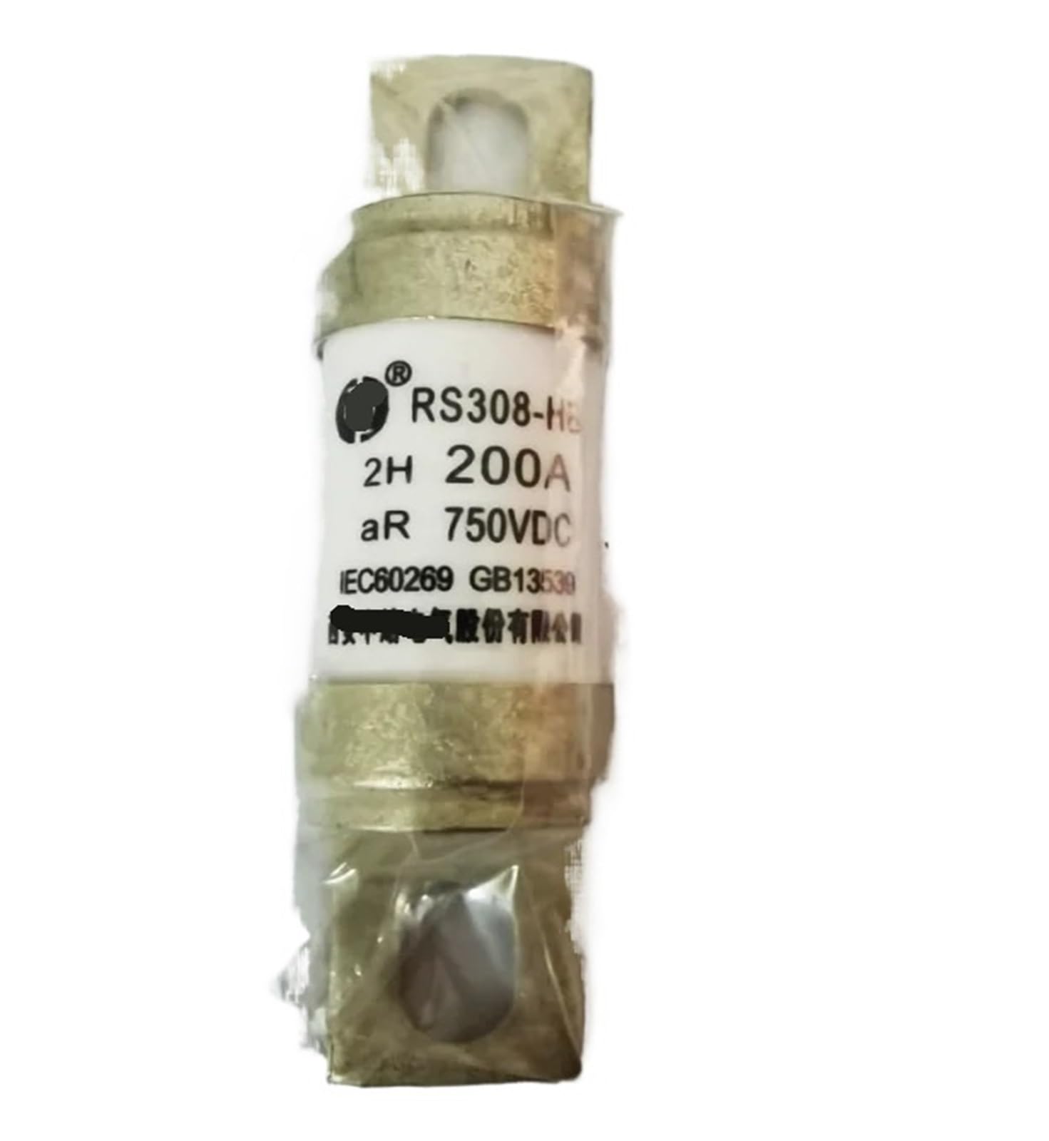 RCGKNNMUZ RS308-HB 2H 750VDC Fuse(100A)
