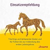 JOSERA Fohlen & Stute | 20kg | Premium Pferdefutter für Stuten & Fohlen