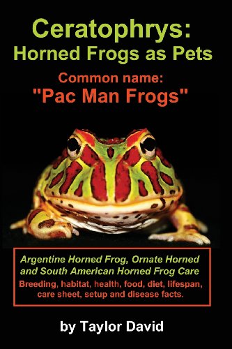 Ceratophrys: Horned Frogs As Pets: Common Name: "Pac Man Frogs"