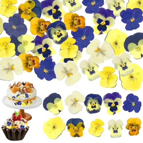 50 Piezas Flores Naturales Secas para Decoración miniatura 1