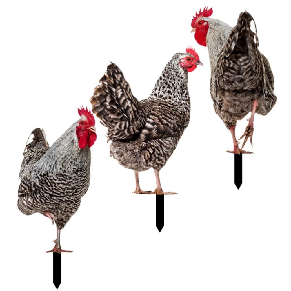 Décoration facile à installer pour cour avec poule et poussins