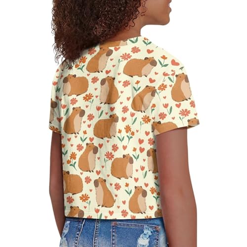 Image of Girls Crop Tees Crew Neck Casual Short Sleeve T Shirts Kids Loose Soft Comfortable Tees Blouses Shirt for Little Girl