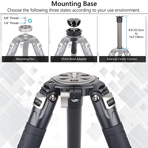 Professional Camera Tripod Carbon Fiber