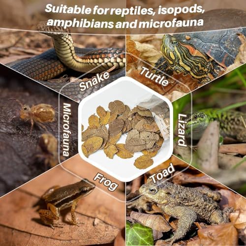 MAQIHAN 2.8 OZ Dry Oak Leaf Litter - Leaf Litter for Reptiles Oak Leaves for Isopods Live Substrate for Snakes, Frogs, Isopods, Terrarium Bedding - 4
