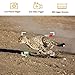 OUDMON Trail Game Camera, 1080P Hunting Cam for Wildlife with Night Vision Motion Activated and No Glow IR LEDs, Waterproof IP67