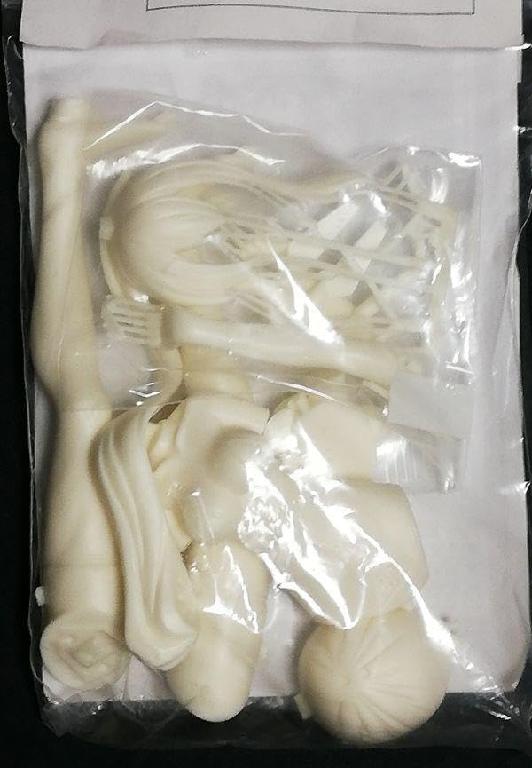 かぐや姫 アズールレーン 綾波改(水着ver) ガレージキット完成品 Amazon.co.jp: SB4黒鈴小径&かぐや姫 アズールレーン 綾波改 水着ver