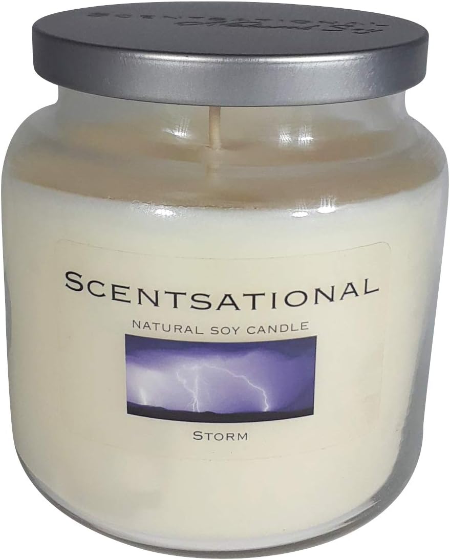 Scentsational Sunflower Soy Candle, 19 oz Glass Jar with Lid, 55-60 Hour Burn Time Poured in The USA