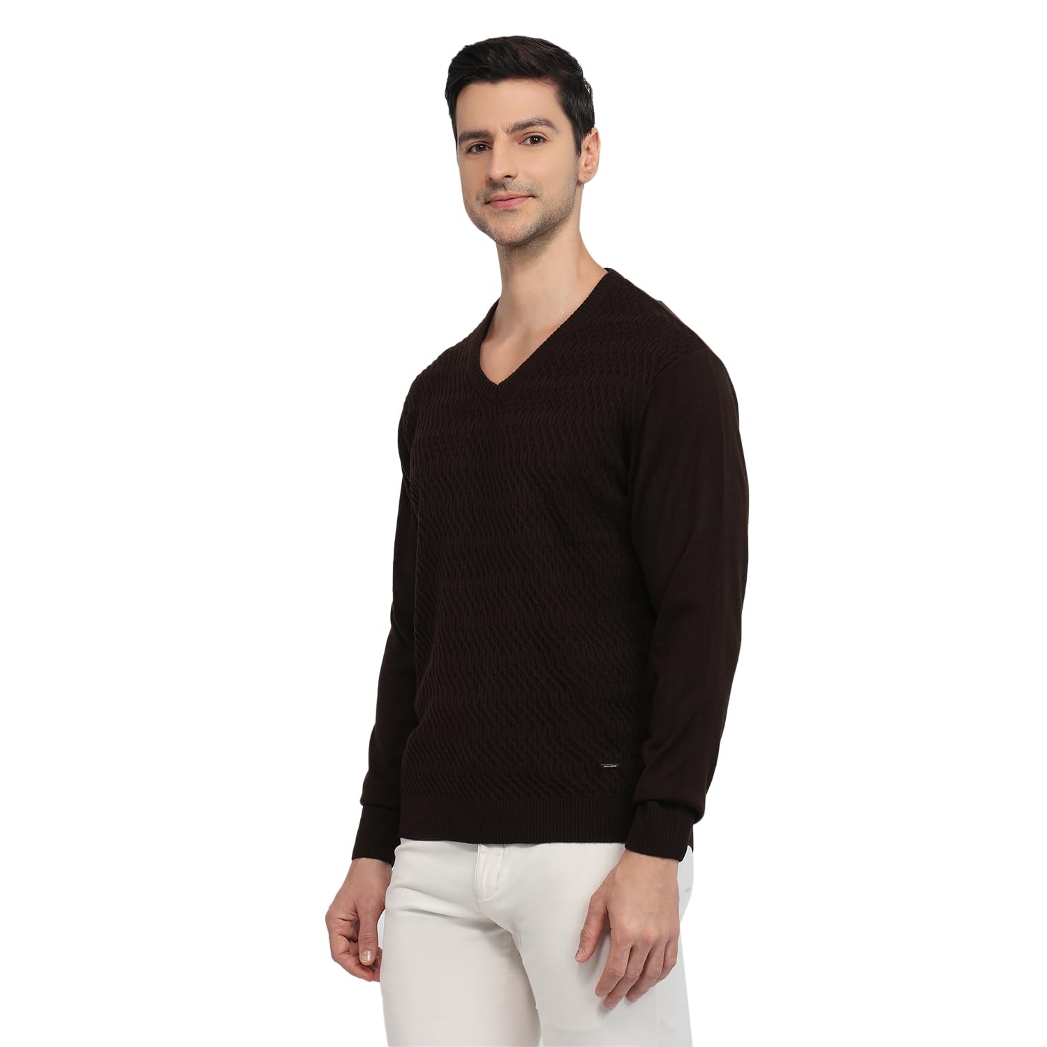 park avenue Men Regular Fit Structure Pattern Pure Acrylic Full Sleeve V Neck Casual Winter Wear Brown-picture-25