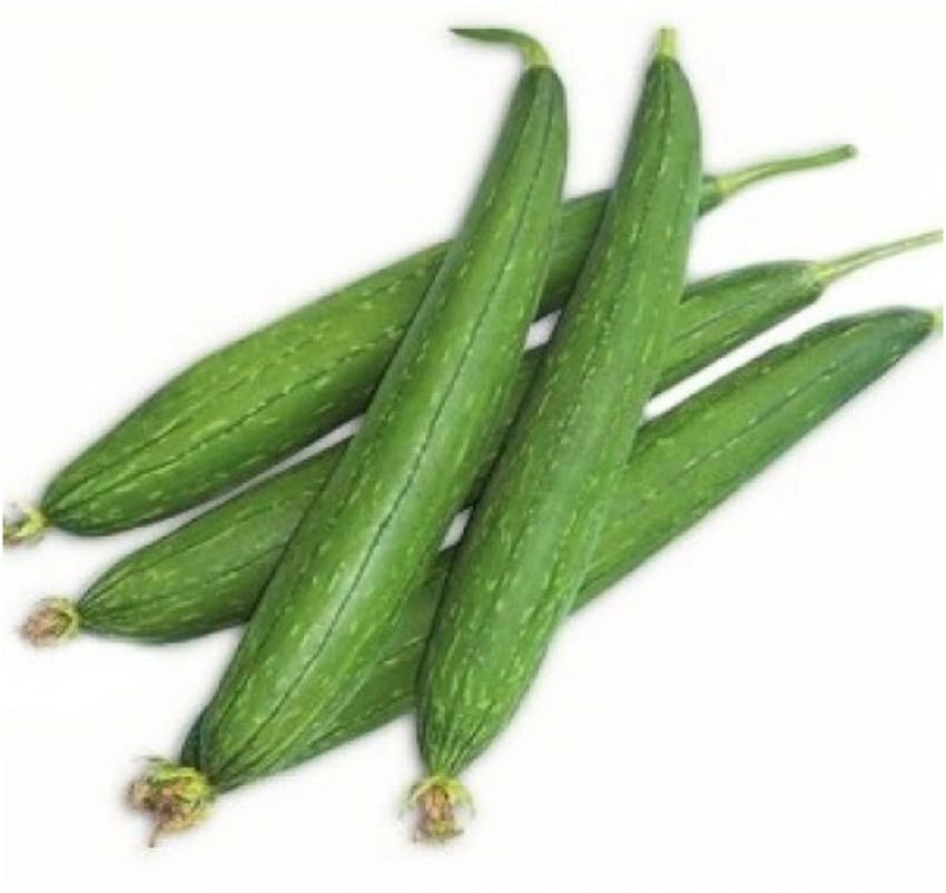 Desi Nenua Seeds for Home Garden – Buy high germination rate seeds Online - Pack of 28-image-5