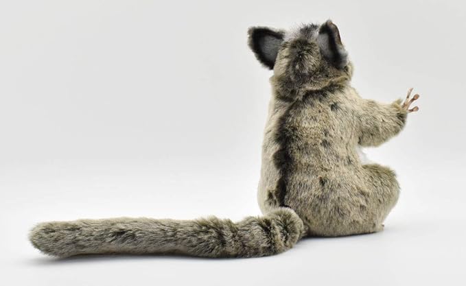 Amazon Co Jp Bh74 Hansa フクロモモンガ２２ おもちゃ