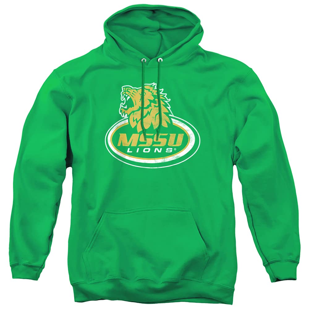 LOGOVISION Official Collegiate Distressed Primary Logo Adult Pullover Hoodie Collection — view 458