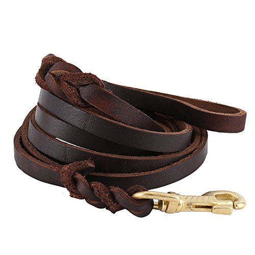 Premier Braided Leather Dog Leash 6/8/10 Ft For Strong Medium Large Dogs, Leather Heavy Duty Training Leash (10Ft) #TOP3