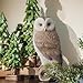 LC LCdecohome Owl Outdoor Statues Garden Yard - Decoration Home Decor Indoor Desk Tabletop Collectible Figurines Ancient Retro Collection 11