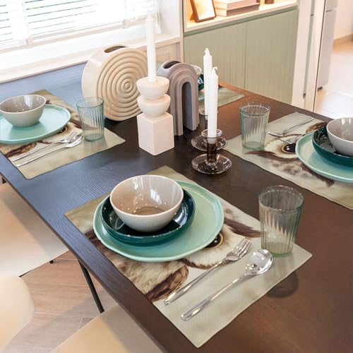 Sets de table en lin lavables pour protéger la table des taches