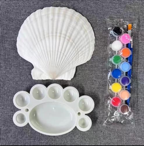 Image of SEAJIAYI 10 PCS Large Scallop Shells 4-5 inch Natural White Scallop Shells from Sea Beach for DIY Craft Decor (Pack of 3)