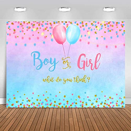 Gender Reveal Banner Rosa e Blu, Party Sfondo