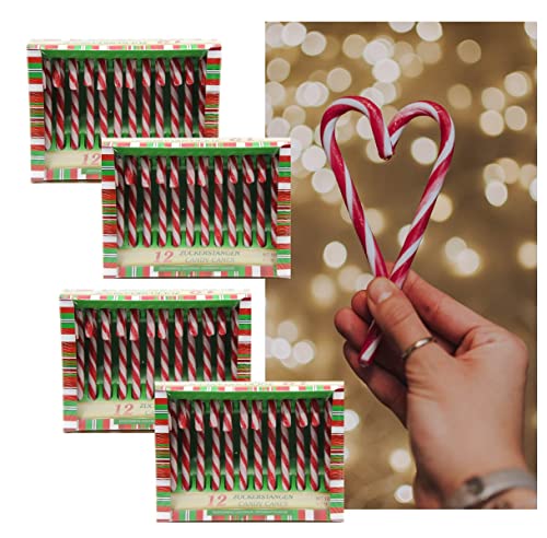 Bada Bing Juego de 48 bastones de caramelo para caramelos y canes de Navidad a rayas, sabor a menta Cover