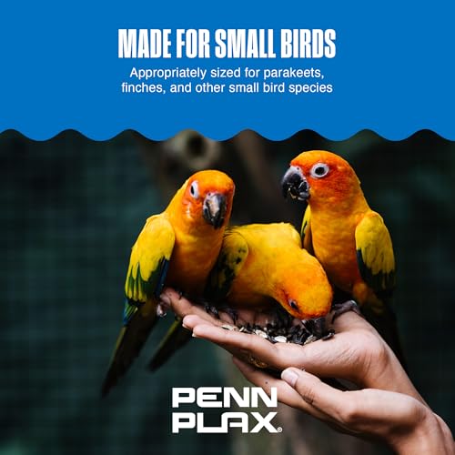 Image of Penn-Plax Bird Life Two Flower Mirror with Bell - Interactive Bird Toy with Spinning Floral Mirrors & Hanging Bell - Colorful Cage Accessory for Parakeets & Finches, Easy to Install - 3.75x1x9.2 in