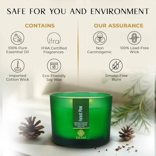 Image of EKAM 3 Wick Soy Wax Scented Candle | Forest Pine Fragrance | 35 Hr Burn | Long Lasting Premium Jar Candle for Home Decor, Relaxation & Gifting