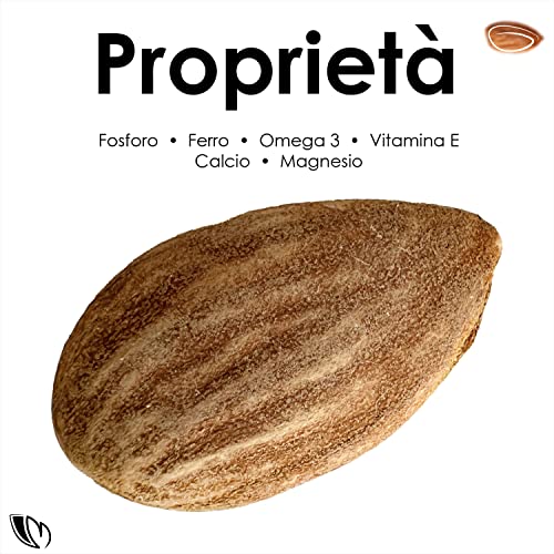 Sizilianische geschälte Mandeln - Trockenfrüchte Quelle von Vitaminen und Ballaststoffen - Glutenfrei (Siciliana Tuono, 1kg)