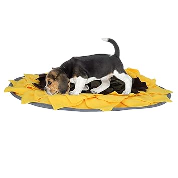 Feeding Mat for Dogs, Anti?Slip Design Pet Foraging Mat with Bright Colors for Training for Pet