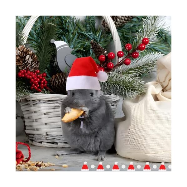 Junebrushs 12 pcs mini santa hats,christmas pet chicken hat scarf set red green small animal hat with adjustable for poultry hen rooster hamster duck lizard guinea pigs - image 5