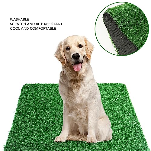 Image of 15'' x 20'' Dog Grass Pee Pad for Training, 2 Pack Artificial Grass Breathable Soft Washable Reusable Pet Potty Training Mat for Indoor Outdoor Dogs, Cats, and Small Medium Pets