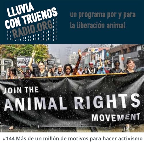 #144 M&aacute;s de un mill&oacute;n de motivos para hacer activismo