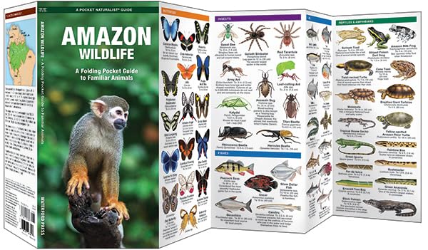 Amazon Wildlife, 2nd Ed: A Folding Pocket Guide to Familiar Animals (Nature Observation International) - Image 2