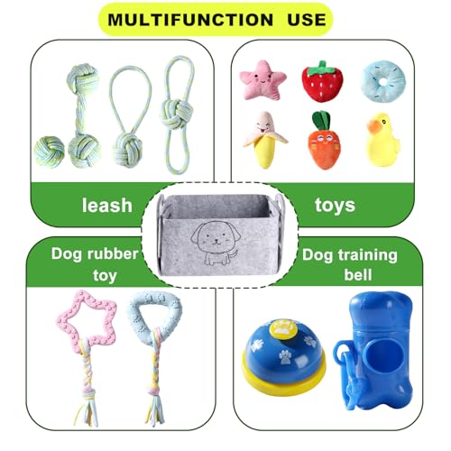 HMXLJJY 24 Stück Welpenspielzeug-Set, kleines Hundespielzeug, Welpen-Zahnspielzeug mit Aufbewahrungsbox, Welpen-Seilspielzeug, Kauspielzeug, Hundespielzeug für kleine und mittelgroße Hunde zum Spielen