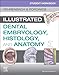 Student Workbook for Illustrated Dental Embryology, Histology and Anatomy